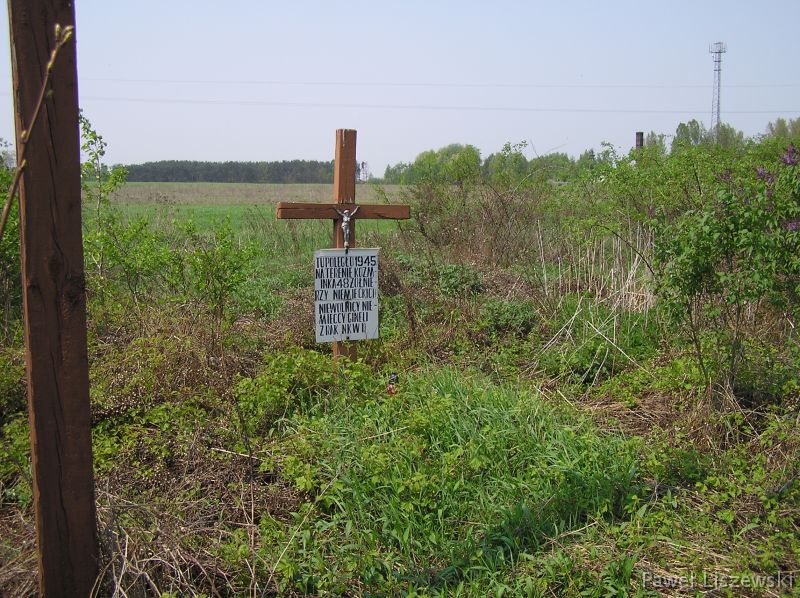 P5075441 zapomniany cmentarz w Koźminku