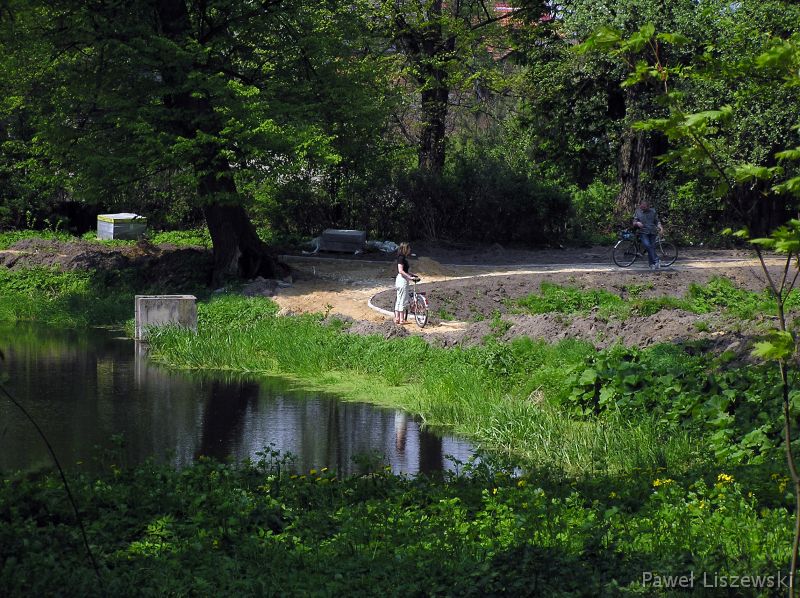 P5075476 park w Kożminku